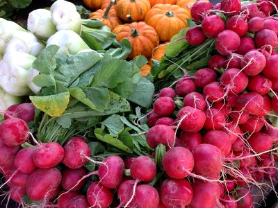 Garlic vegetables healthy photo