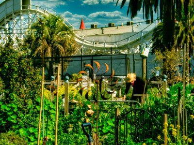 Veg Out St Kilda 2