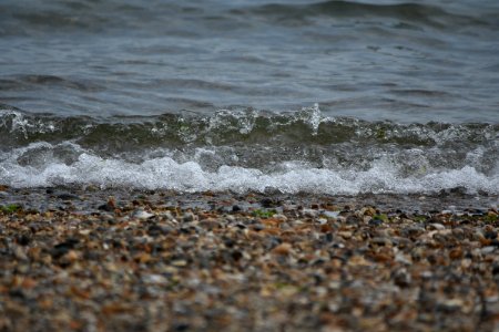 dsc 1313 26665649329 o