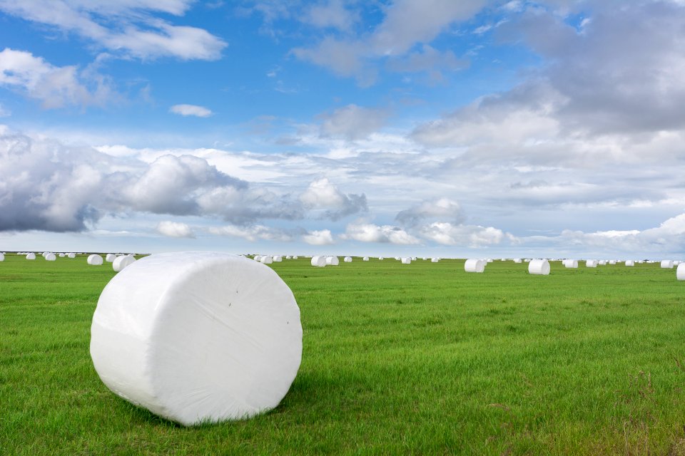 Hay rolls in Iceland