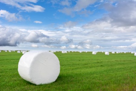Hay rolls in Iceland