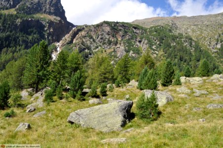 DAM1715- Val di Sole - Val de la Mare