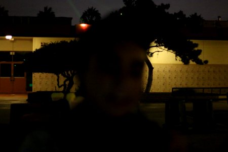 IMG 4845