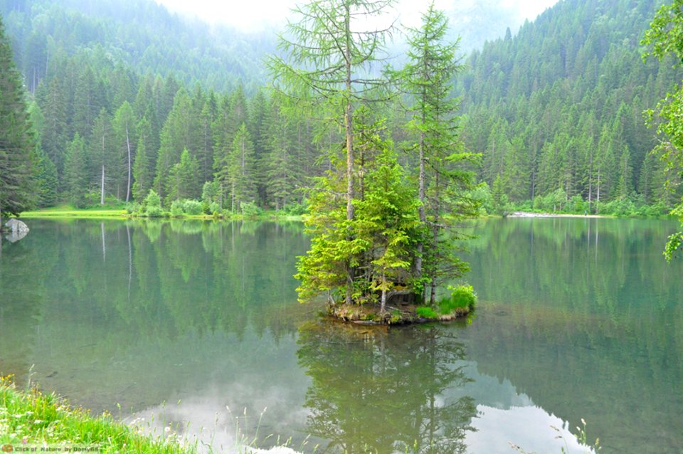 DAM1538 - Val di Sole - Lago dei caprioli