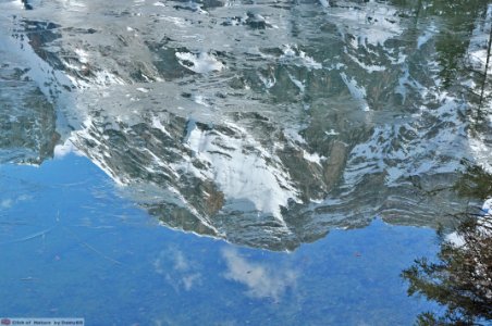 DAM1660 - Dolomiti - Lago di Braies riflessi