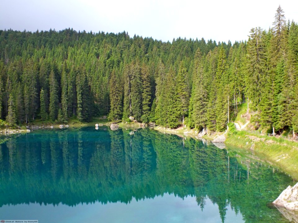 DAM1759 - Dolomiti - Lago di Carezza