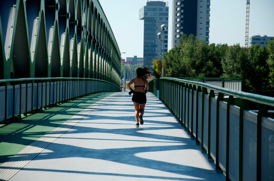Old bridge  - Bratislava - runner 1