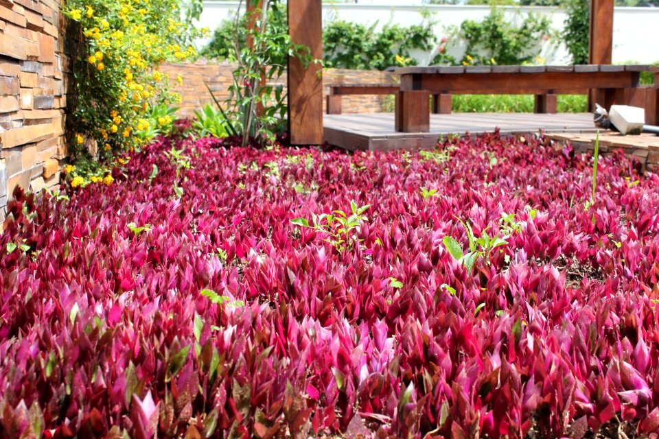 Mago Jardineiro - Aroreira Office