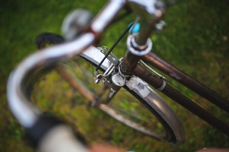 Brakes stylish grass