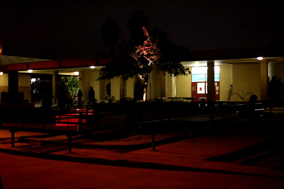 IMG 9561