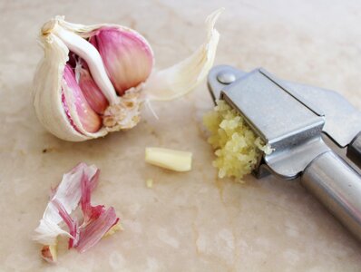 Tuber heads of garlic healthy