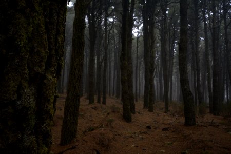 El Hierro