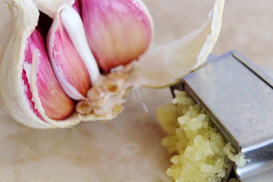 Tuber heads of garlic healthy