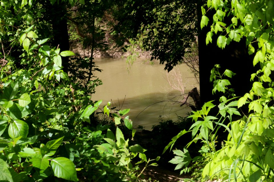San Antonio River 6090