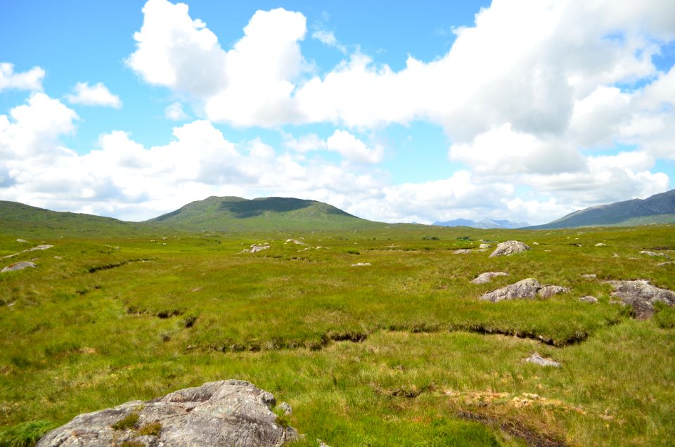 Irish Countryside