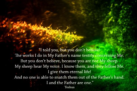 John 10. One Flock. One Shepherd.
