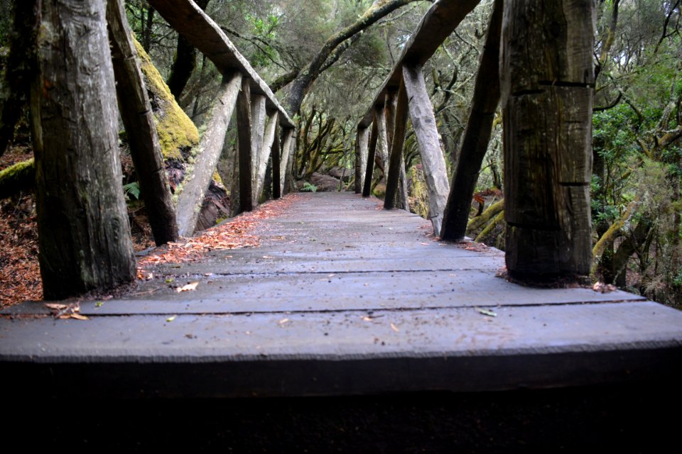 Sendero "La Llanía" El Hierro