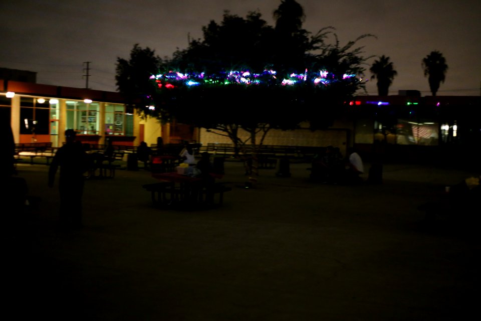 IMG 9757