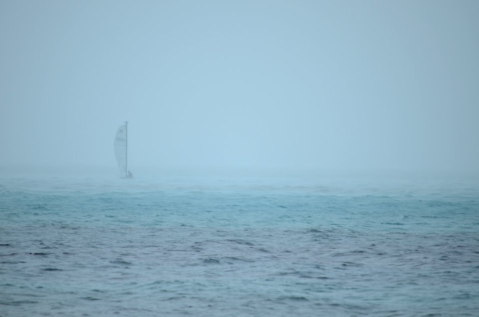 The Black Pearl