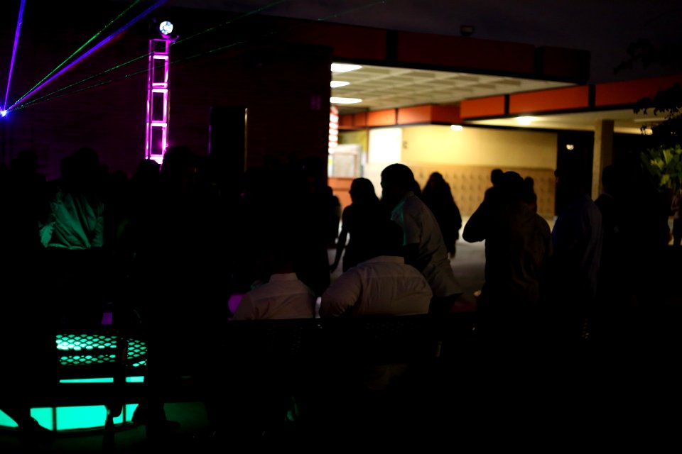 IMG 9591