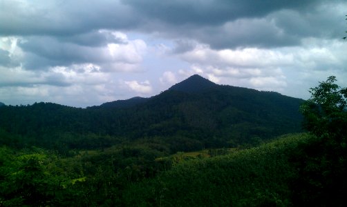 highest mountain in western province sri lanka photo