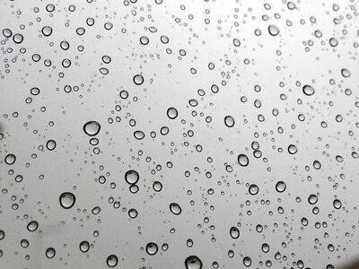 Rain drop of water drops of rain photo