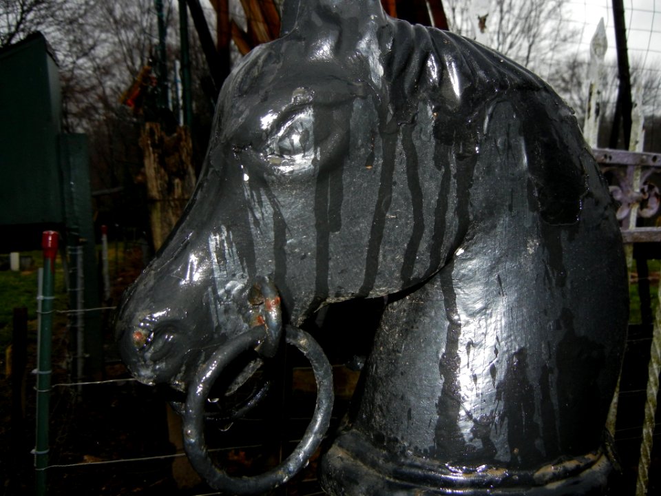 Raining Knight Horse