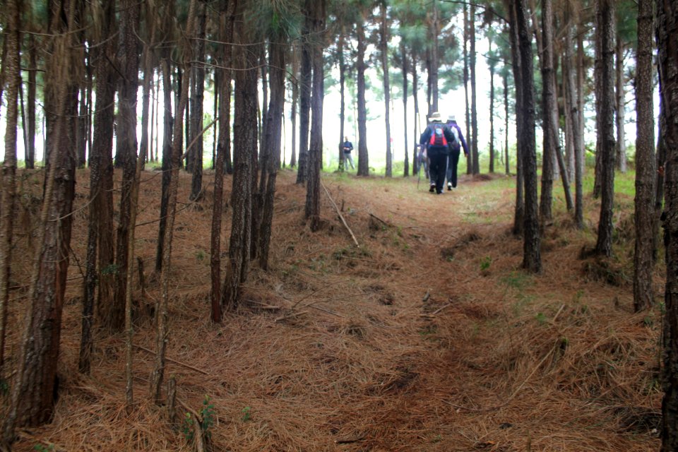 Caminhada na Natureza