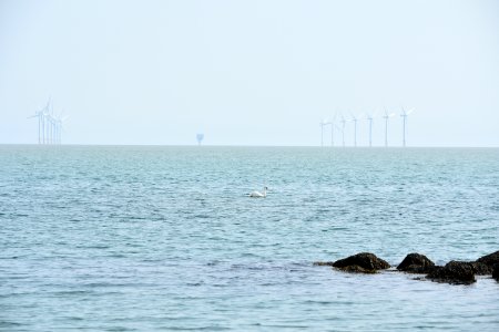 dsc 1338 38410389312 o