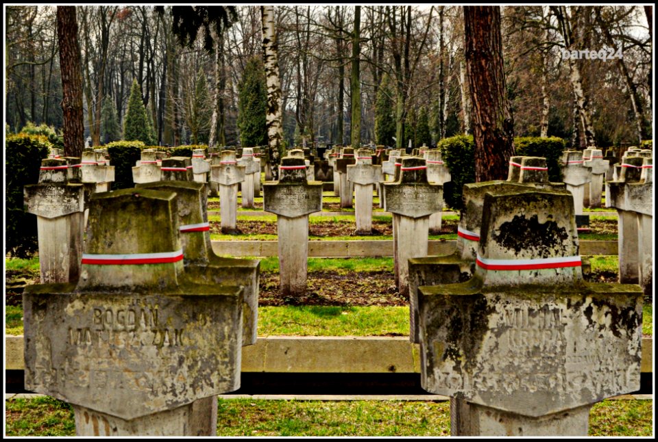 Warsaw Uprising 1944 cemetery