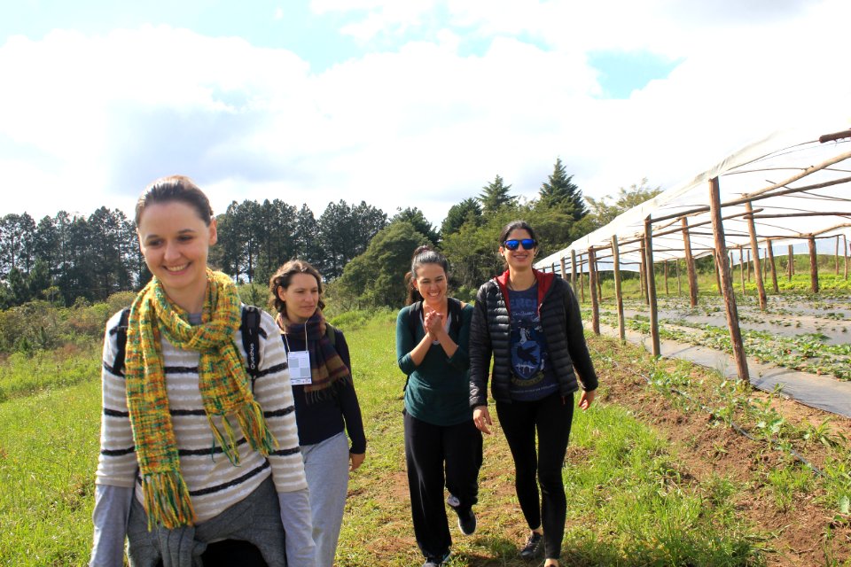 Caminhada na natureza entre amigos.
