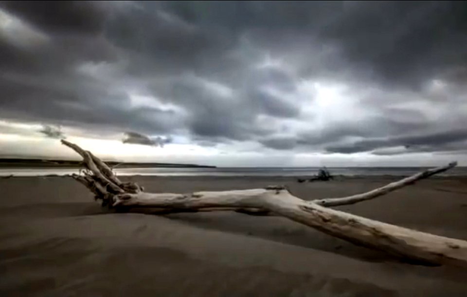 Viking beach Docu drama