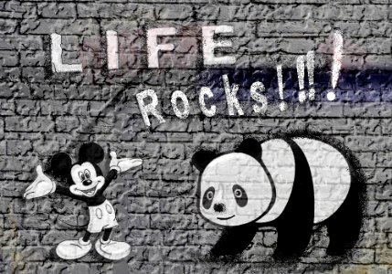 LIFE ROCKS photo