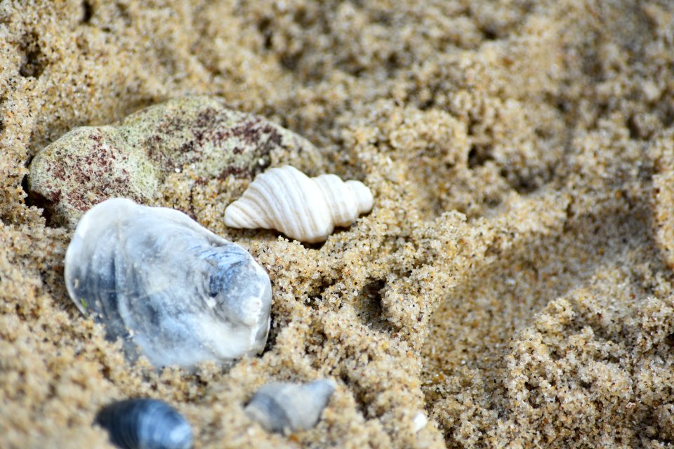 dsc 1356 38441920811 o