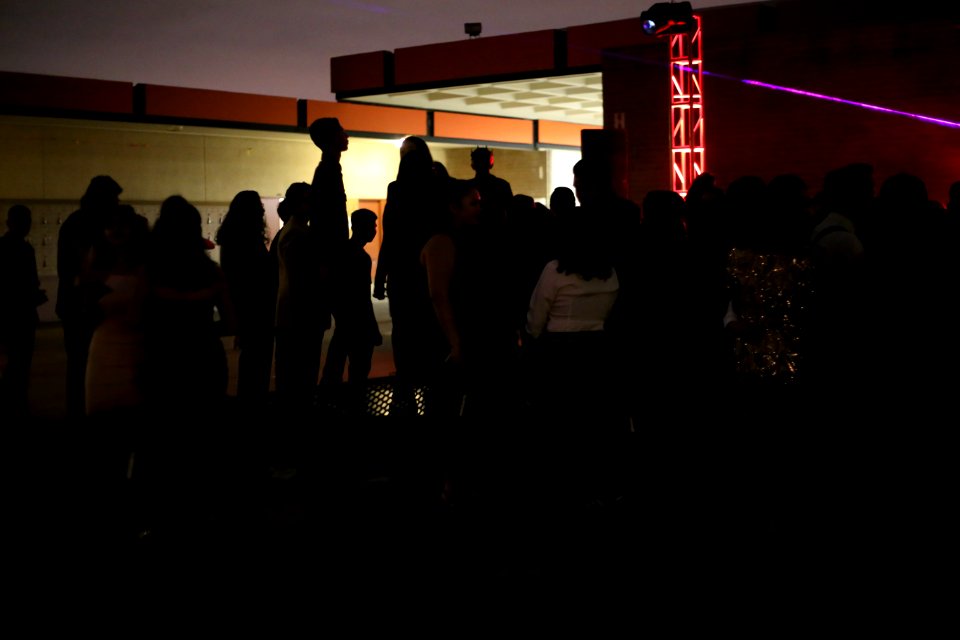 IMG 9692