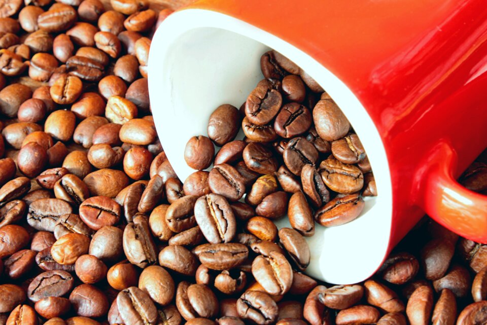 Drink cup coffee bean