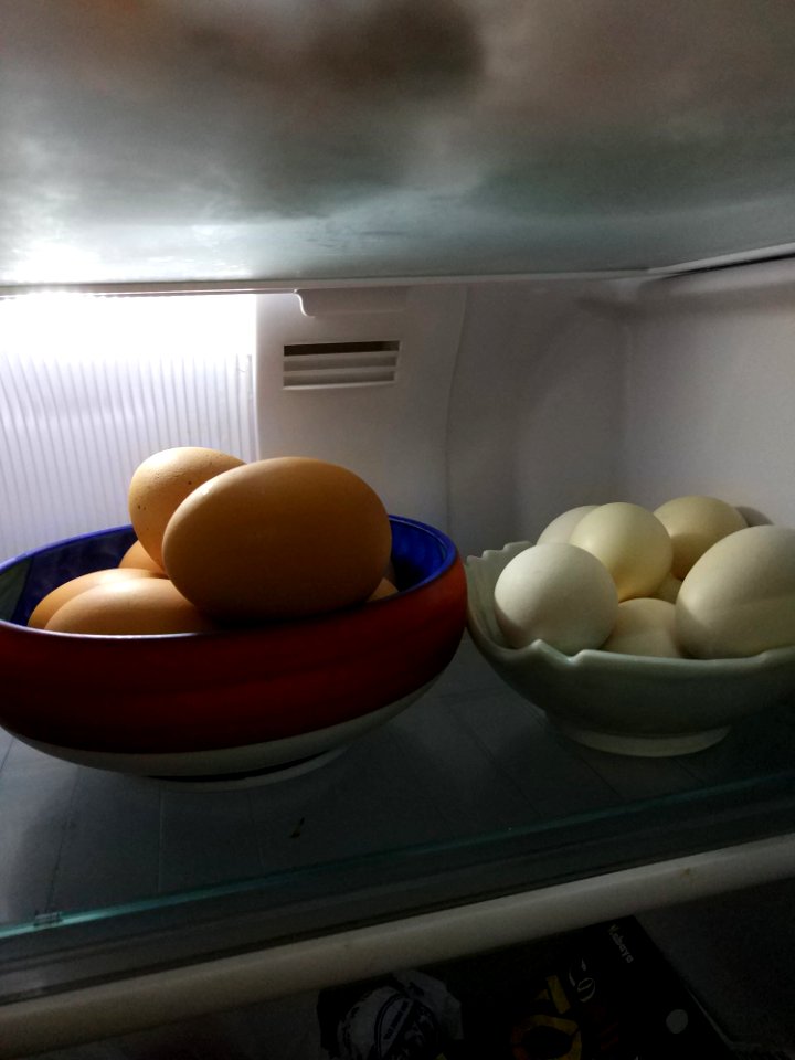 trứng luộc boiled eggs