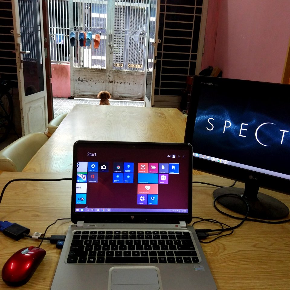 minimalist lifestyle hp spectre laptop lg screen buffalo mouse logitech bluetooth keyboard on clear table with my red brown poodle dog looking out