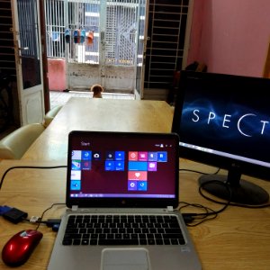 minimalist lifestyle hp spectre laptop lg screen buffalo mouse logitech bluetooth keyboard on clear table with my red brown poodle dog looking out
