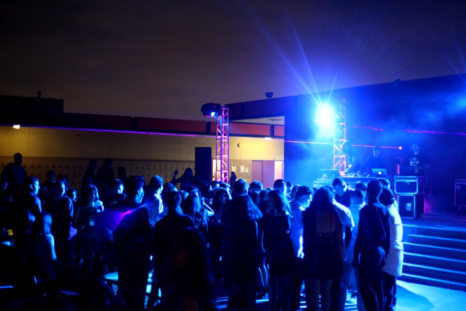 IMG 0395