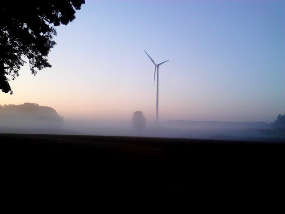 Sonnenaufgang in der Ried