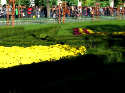 autumn Unirii-Square (59)