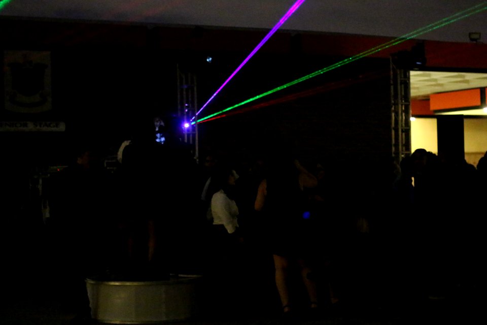 IMG 4884