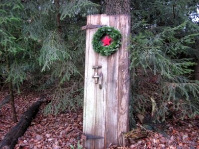 Tür im Wald