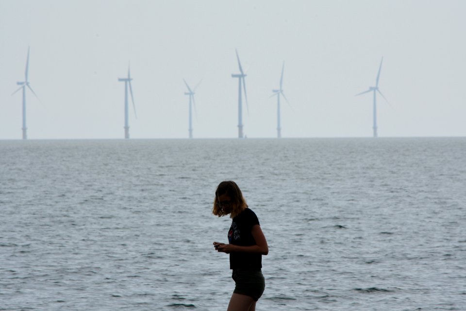 dsc 1320 38441950051 o