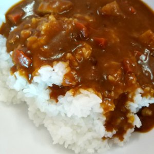 instant beef curry with japanese rice