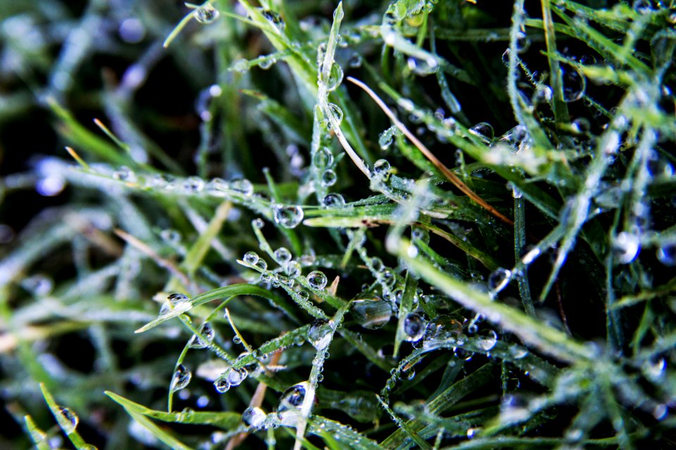 Water Droplets