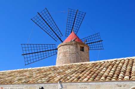 DAM1481 - Sicilia - Saline di Trapani - Mulino