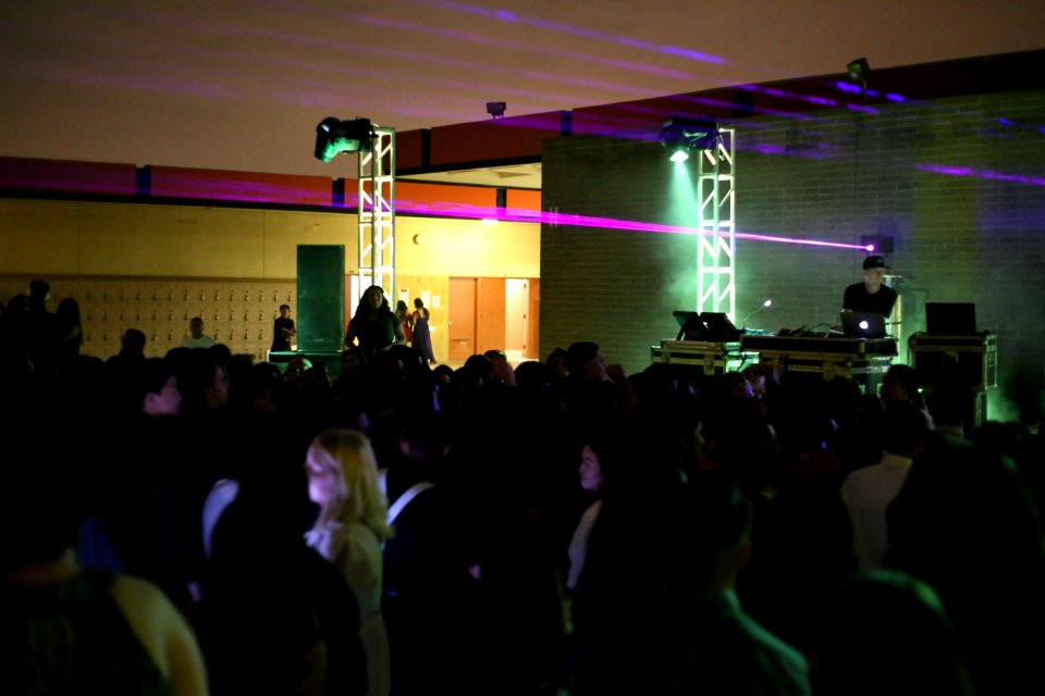 IMG 9695