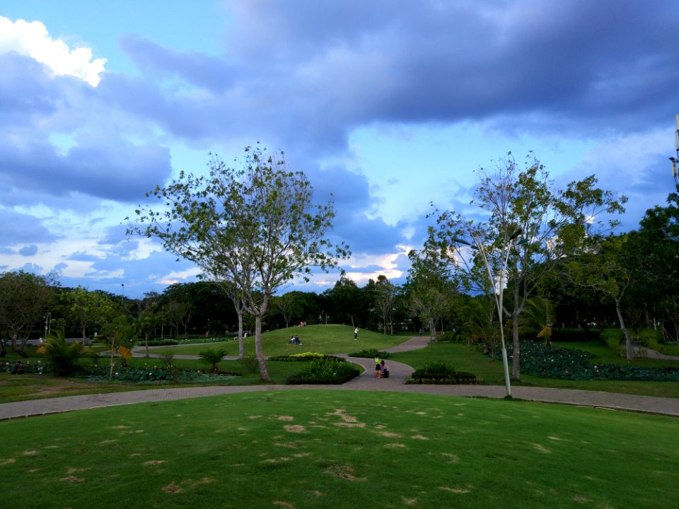 lotus pond in Crescent Mall Lake park công viên Hồ Bán Nguyệt